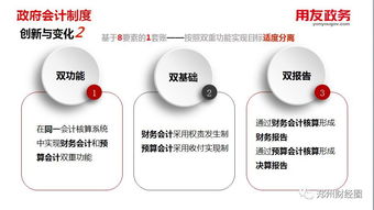 新政府準則制度下用友政務軟件配套會計用品的A4版展示與應用解析